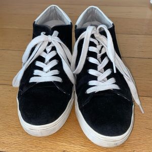Steve madden velvet sneaker with heel